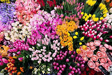 国产开放世界动作游戏《百面千相》首爆宣传片 登陆多平台发售日期待定